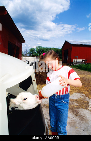 Agricoltura - una giovane ragazza di fattoria bottiglia alimenta una giovane Holstein dairy vitello / Wisconsin, USA. Foto Stock