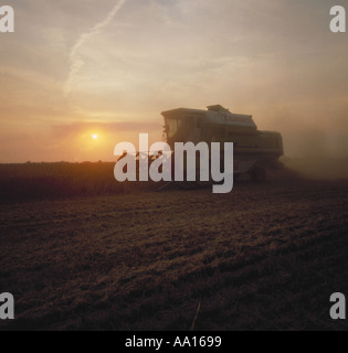 Combinare la raccolta in ritardo in una sera d'estate con il sole immerso nella luce arancione, Berkshire Foto Stock