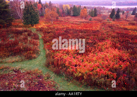 Panoramica del campo in autunno, Shamper's Bluff, New Brunswick, Canada Foto Stock