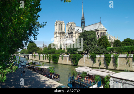 La cattedrale di Notre Dame e il Fiume Senna, Île de la Cité, Parigi, Francia Foto Stock