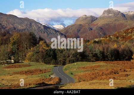 Langdale Pikes da Elterwater, Lake District, Cumbria, Regno Unito Foto Stock