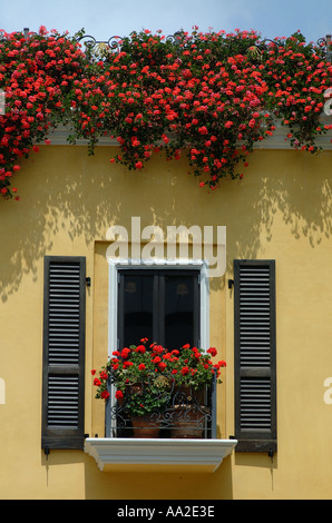 Negozio finestra Dettaglio, Rodeo Drive, Beverly Hills, la California. Foto Stock