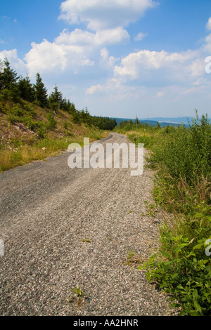Stretta strada asfaltata in prossimità del vertice di Velka Destna grandi piogge in montagna Orlicke hory l'Aquila montagna Repubblica Ceca Foto Stock