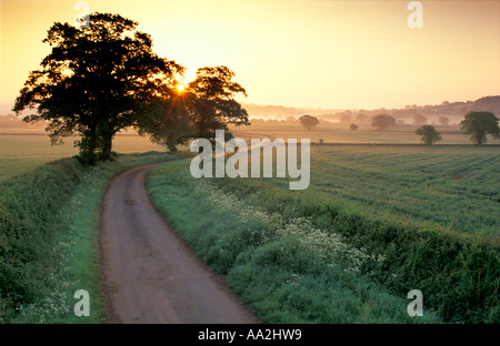 Vicolo del paese nr Purse Caundle Dorset England Regno Unito Foto Stock