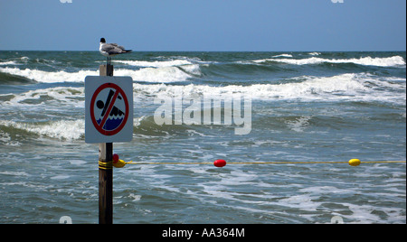 Nessun segno di nuoto a Galveston beach Texas Foto Stock
