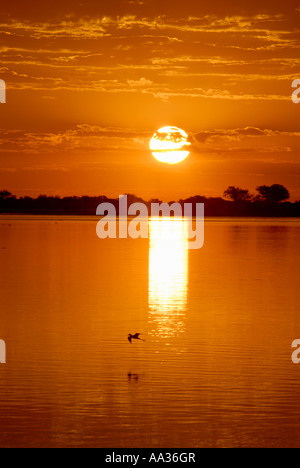 Tramonto sul fiume Chobe Botswana Sud Africa Foto Stock