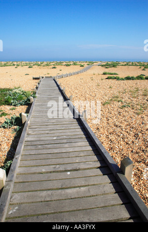 Dungeness spiaggia ghiaiosa, Kent, Inghilterra. Foto Stock