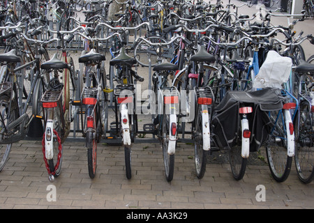 Spingere la bici al mercato olandese città Groningen Paesi Bassi Foto Stock