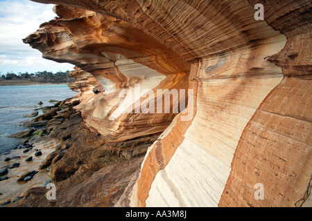 Il dipinto di scogliere, Maria Island, Tasmania Foto Stock