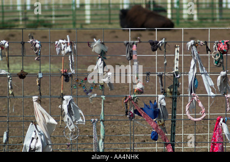 Un recinto con la preghiera token a "acquavite di Mountain Ranch" (per il bufalo bianco) a Flagstaff, in Arizona. Foto Stock