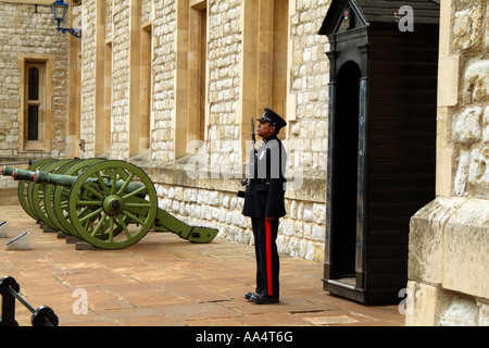 Torre di Londra sentry sta di guardia Londra Inghilterra REGNO UNITO Foto Stock