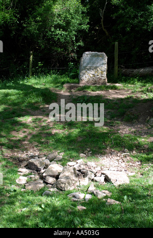 Pietre fonte di marcatura del fiume Tamigi, nel Gloucestershire, England, Regno Unito Foto Stock