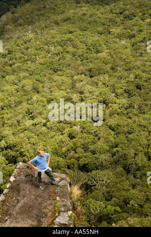 Guardando oltre la giungla da una delle terrazze in alto sul Huayna Pichu, Macchu Picchu, Perù Foto Stock