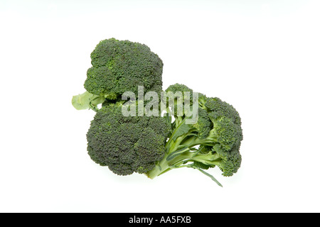 Broccoli lancia (Brassica oleracea italica) vegetale è una buona fonte di fibra dietetica e di vitamine A e C Foto Stock