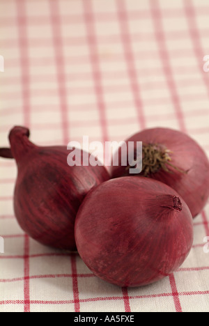 Cipolle rosse Foto Stock
