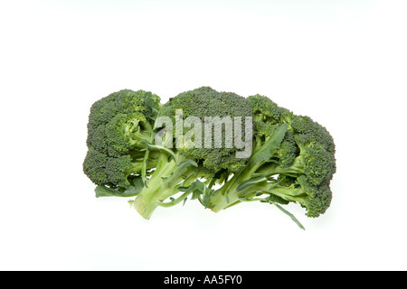 Broccoli lancia (Brassica oleracea italica) vegetale è una buona fonte di fibra dietetica e di vitamine A e C Foto Stock