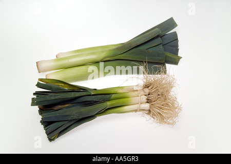 2 mazzetti di comune porri (Allium porrum) Foto Stock