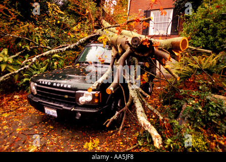 Un Land Rover si siede nel vialetto dove è stato colpito da un albero di caduta Foto Stock