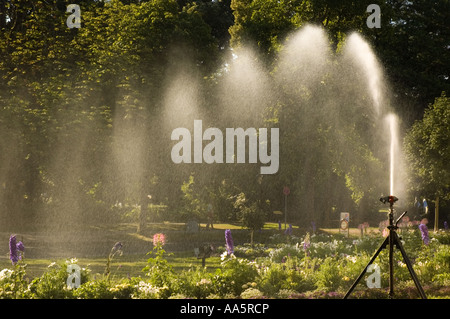 Irrigazione di un aiuola, mediante spruzzatura automatica a Baden Baden , Germania ovest Foto Stock