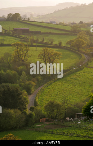 Meandri della strada si snoda attraverso lussureggianti Devonshire colline e campi nella luce del sole serale South Devon England Regno Unito GB Europa Foto Stock