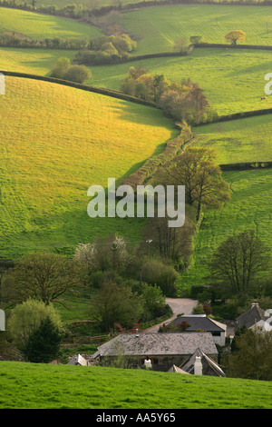 Cascina piccola azienda agricola accoccolato ai piedi di una lussureggiante valle verde in South Devon colline Inghilterra Gran Bretagna UK GB Foto Stock