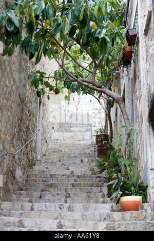 Scale a Dubrovnik tipica stradina Croazia Foto Stock