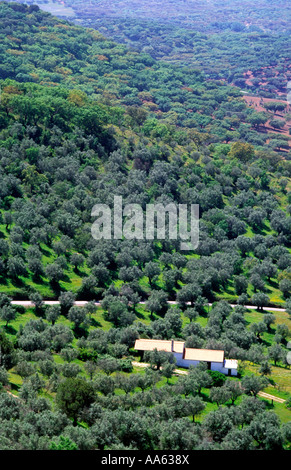Panorama dal villaggio Evoramonte, Alentejo, a sud del Portogallo. Foto Stock