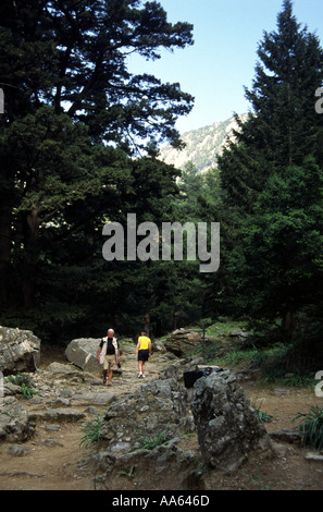 Escursionisti lungo un percorso roccioso circondato da alberi attraverso la gola di Samaria, Creta Foto Stock