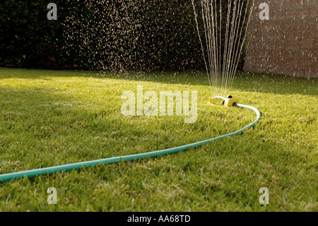 Un prato oscillante irrigazione sprinkler backyard erba Foto Stock