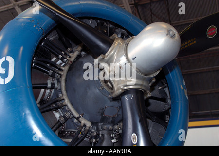 Douglas A-24 intrepida Dive Bomber Motore e ventola dettaglio Foto Stock