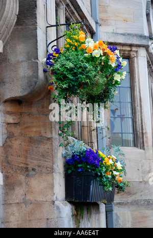 Vasi per fiori Foto Stock