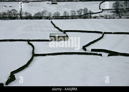 Patchwork di campo vicino villaggio Gunnerside Swaledale, North Yorkshire neve invernale Yorkshire Dales National Park in Inghilterra Foto Stock