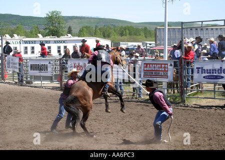 Rodeo Alberta Canada Wild Horse race Foto Stock