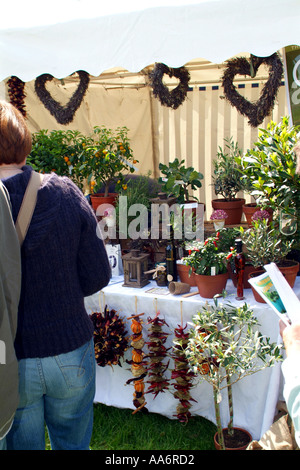 Mercato delle pulci topery di vendita. Foto Stock