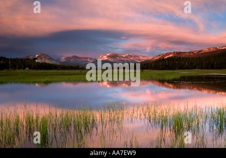 Prati Tuolumne tramonto Foto Stock