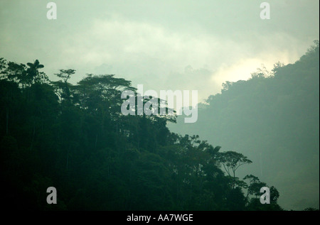 Misty foresta pluviale del Pirre Valley vicino a Cana nel Parco Nazionale del Darién, provincia di Darien, Repubblica di Panama. Foto Stock