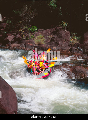 White Water Rafting sulla foresta pluviale tropicale Tully River North Queensland Australia Foto Stock