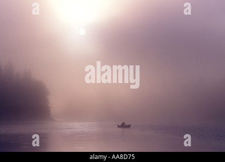 Una canoa scivola attraverso la nebbia e la nebbia di mattina d'estate sul fiume Restigouche nel nord di New Brunswick Canada Foto Stock