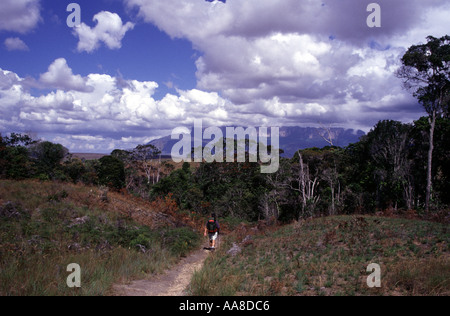 Approccio TREKKERS la mole imponente del RORAIMA LA TABELLA TOP MOUNTAIN reso famoso come il mondo perduto nel libro di Conan Doyle Foto Stock