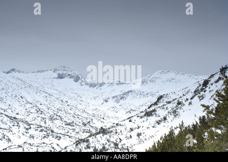 Scena invernale dal parco nazionale di Pirin Bulgaria Foto Stock