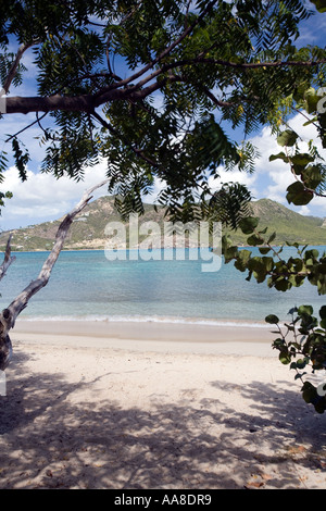 Vista attraverso gli alberi tropicali nei Caraibi Antigua che guarda al mare turchese. Foto Stock