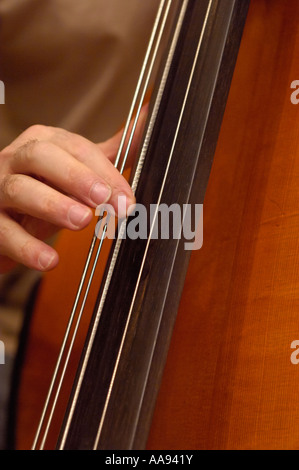 Musicista giocando pizzicato sul suo contrabbasso. Foto Stock