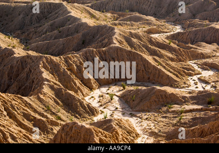 In tarda serata la vista di Borrego badlands da Font punto, Anza-Borrego Desert State Park, California, Stati Uniti d'America Foto Stock