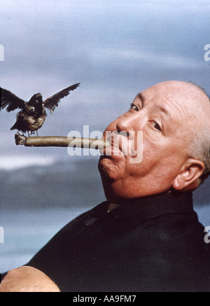 ALFRED HITCHCOCK foto promozionali per il suo film Gli uccelli nel 1963 Foto Stock