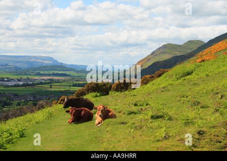 Dumyat hill e il Wallace Monument in Forth Valley Scozia Scotland Foto Stock