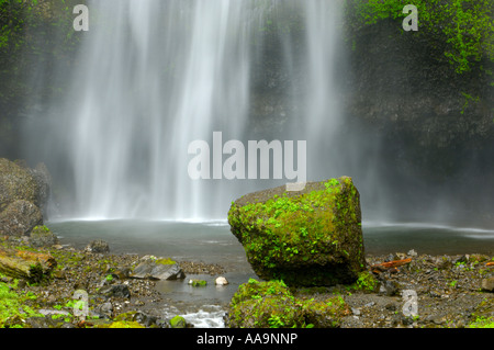 Mossy rock in un pool Foto Stock