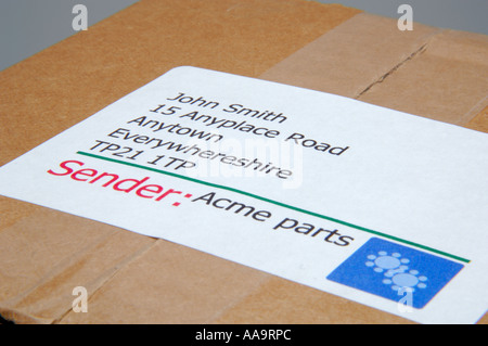 Close up di etichetta di indirizzo su una confezione di cartone Foto Stock