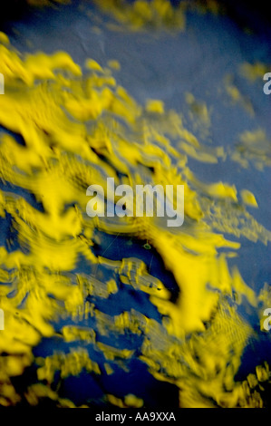 La riflessione sul vetro Foto Stock