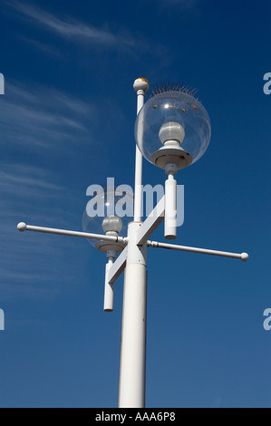 Le luci di strada con dei picchi sulla sommità per fermare gli uccelli sono ' appollaiati e pooing su di essi il Molo di St Petersburg florida america usa Foto Stock