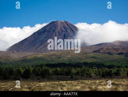 Il Monte Ruapehu Vulcano, parco nazionale di Tongariro, Isola del Sud, Nuova Zelanda Foto Stock